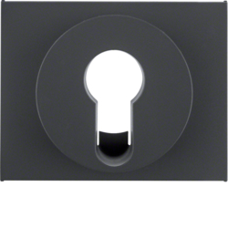 Berker 15057006, Centre plate for key switch/key push-but, 4011334297222