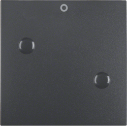 Berker 15731606, S.1/B.1/B.7 GLAS WIPPE ANSCHRAUBBAR MI.., 4011334000242