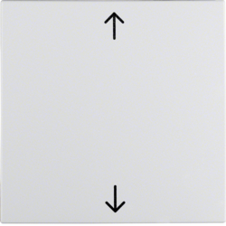 Berker 16201919, Rocker with imprinted arrows symbo Berk, 4011334222422