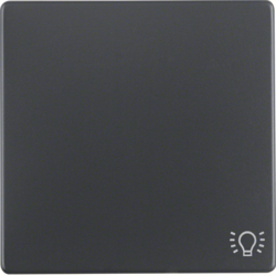 Berker 16206046, Rocker 1G, Light Symbol, Anthracite, 4011334379751