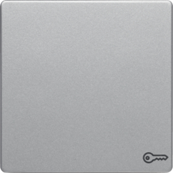 Berker 16206064, AS WIP M AD SYB SCHL?SSEL Q.1 ALU LACK, 4011334443261