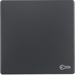 Berker 16206066, Rocker 1G, Door Opener Symbol, Anthracit, 4011334379836