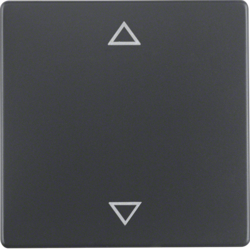 Berker 16206076, AS WIP M AD SYB PFEILE Q.1 ANTH, 4011334379874