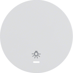 Berker 16212079, AS WIP  M LN SYB "LICHT" R.1 P-W, 4011334366416