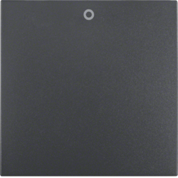 Berker 16221606, ROCKER S.1/B.3/B.7 ANTHRACITE, 4011334222460