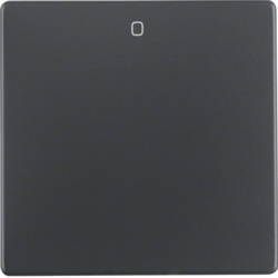 Berker 16226086, Rocker 1G, '0' Printed, Anthracite, 4011334380146