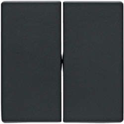 Berker 16236086, Rocker 2G Anthracite Velvety, Lacquered, 4011334380153