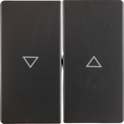 Berker 16256086, Rocker 2-Gang, Arrow Symbol, Anthracite, 4011334380177