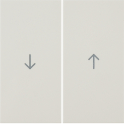 Berker 16258982, Rockers with imprinted arrow symbo Berk, 4011334278344