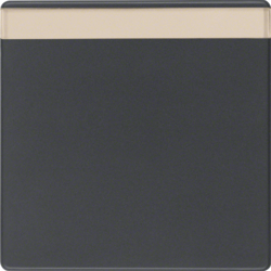 Berker 16266086, Rocker 1G, with Labelling Field, Anthra, 4011334380184