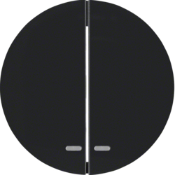 Berker 16272045, S-WIP M LN R.1 SCHW, 4011334371533