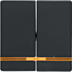 Berker 16276086, Rocker 2G, with Light Lens, Anthracite, 4011334380191