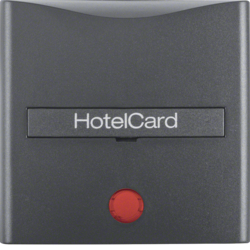 Berker 16401606, C/plate for hotel card - B ant, 4011334221760