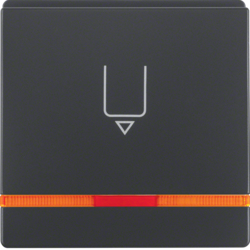 Berker 16406086, Centre Plate for Hotel Card, Anthracite, 4011334380245