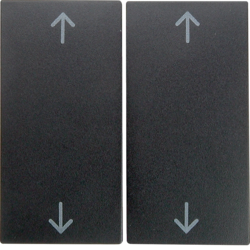 Berker 16441606, Rockers with imprinted arrows symbo Ber, 4011334221821