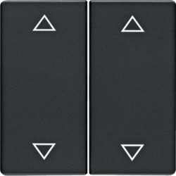 Berker 16446086, Rocker 2-Gang, Arrow Symbols, Anthracite, 4011334380252