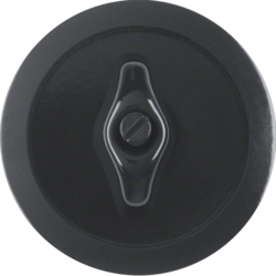 Berker 164701, Centre Plate with Toggle, Black Glossy, 4011334321422