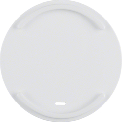 Berker 16612049, AS WIP W M LN U FFM R.1 P-W, 4011334366485