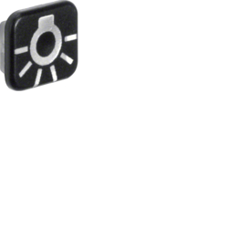 Berker 18223501, Lens, printed, Symbol Light, 4011334425496