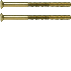 Berker 189512, Two-hole screws, 2 x M3.5 x 50 m, 4011334253976