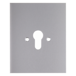 Berker 1904, METAL COVER F. KEY SWITCH, 4011334019589