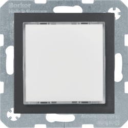 Berker 29531606, LED LICHTS WEI? M DES Z-RA S.1/B.X ANTH, 4011334414339