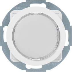 Berker 29532089, LED LICHTS WEI? M DES Z-RA R.X P-W GL?, 4011334414599