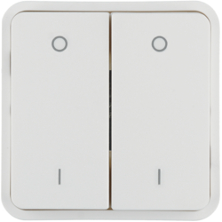 Berker 30423552, WIP 2F AD 0/1 M Z-RING O EINS W.1 P-W, 4011334459545