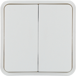 Berker 30553542, WIP 2F M Z-RING O EINS W.1 P-W, 4011334459460