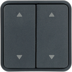 Berker 30653555, WIP 2F AD  2PFEIL Z-RING O EINS W.1 GRAU, 4011334459576