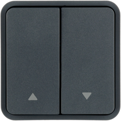 Berker 30653565, WIP 2F AD PFEILE Z-RING O EINS W.1 GRAU, 4011334459606