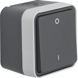 Berker 30723505, W.1 2pole Switch w. Marking 0/1 grey, 4011334393139