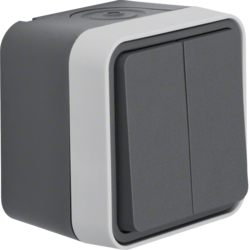 Berker 30753505, W.1 2G 1W Switch grey, 4011334393672
