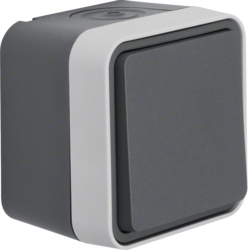 Berker 30773505, W.1 Intermediate Switch grey, 4011334394921