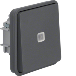 Berker 30863525, W.1 Rocker 2W Switch illuminated grey, 4011334390190
