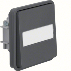 Berker 30863535, W.1 Rocker 2W Switch w. FPL + Illum grey, 4011334390275