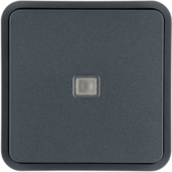 Berker 30863545, WIP M LN M Z-RING O EINS W.1 GRAU, 4011334459477