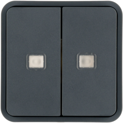 Berker 30863555, WIP 2F M LN M Z-RING O EINS W.1 GRAU, 4011334468646