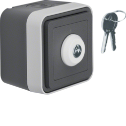 Berker 32713505, W.1 Key SW 2 positions grey, 4011334394969