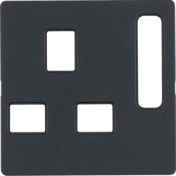 Berker 3313076086, BS Socket Centre Plate, Anthracite Matt, 4011334397762