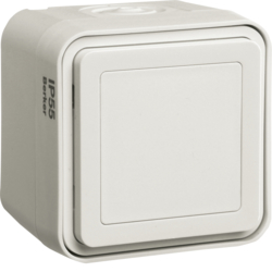 Berker 42903512, W.1 WATERPROOF COMPL PROD BLANK PLATE WHITE, 4011334424246