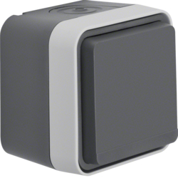 Berker 47633505, W.1 SCHUKO socket outlet w. hinged cover SM, 4011334395072