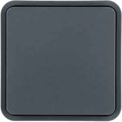 Berker 6130763545, WIP M Z-RING O EINS W.1 GRAU, 4011334459439