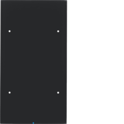 Berker 75142855, TOUCHSENSOR 2F M BA GLAS R.3 SCHW, 4011334383598