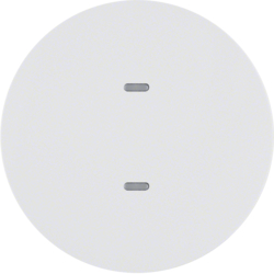 Berker 75161869, WIP 1F KNX R.X P-W, 4011334386193