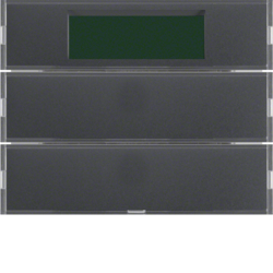 Berker 75662775, Push-button, 2-gang, with room thermost, 4011334303589