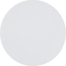 Berker 85141139, HBNet Taste1k Licht R.1 P-W GL?, 4011334368496