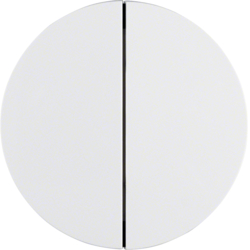 Berker 85142139, HBNet Taste 2k Licht R.1 P-W GL?, 4011334368700