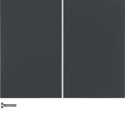 Berker 85146175, HBNet F-TA 2k LI K.1 ANTH MATT, 4011334369080