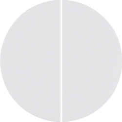 Berker 85648139, AM RF PushButton 4g Quicklink (Gruppenta, 4011334382720